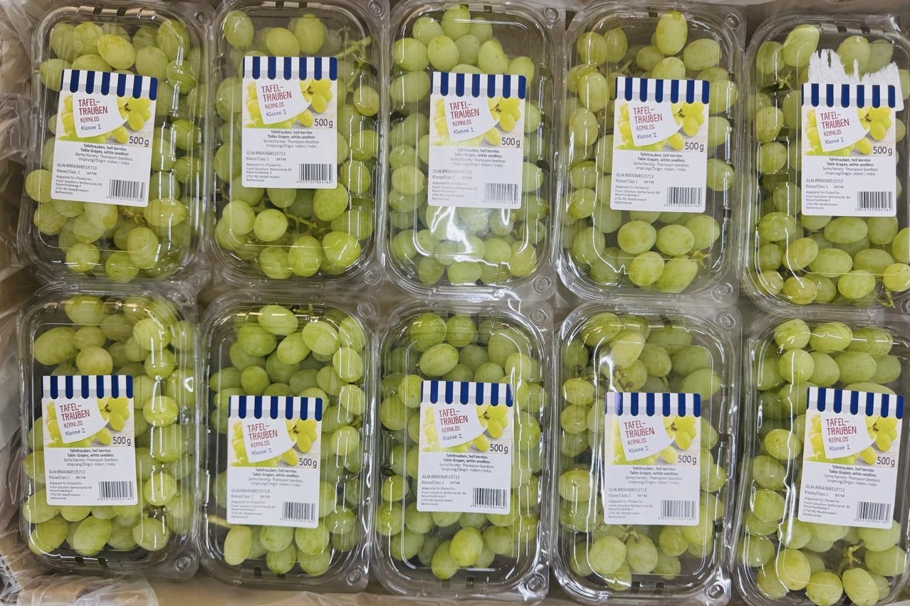 Minder Indiase druiven naar Europa door weersproblemen en marktverschuivingen