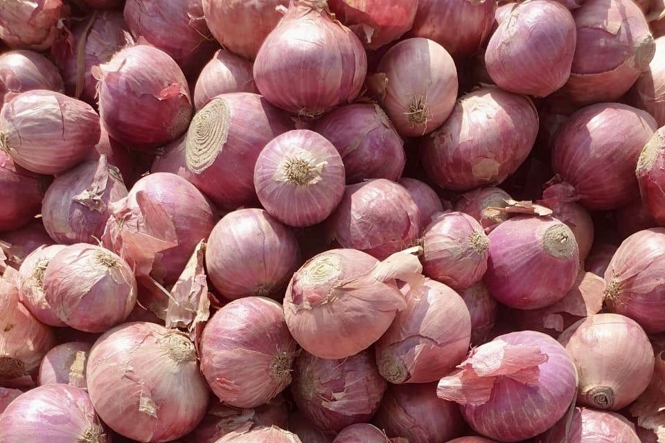 Pakistaanse uienexport is teruggevallen tot slechts 10% van vorig jaar