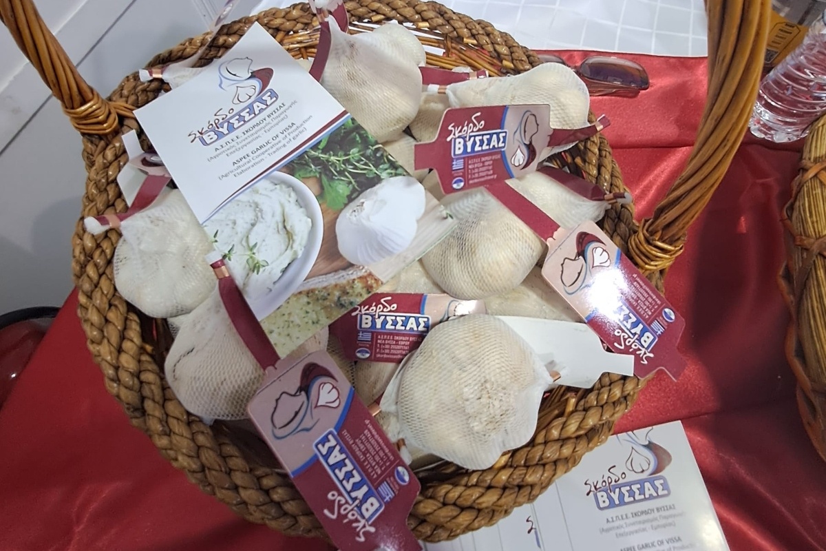 Griekse knoflookteelt ontsnapt aan zware overstromingen