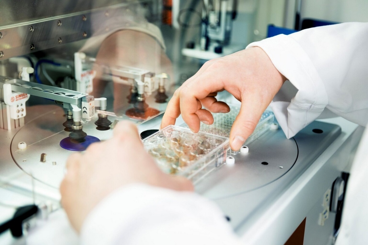 Deense agrotechnologie haalt €2,4 miljoen op voor biocontrole tegen Phytophthora