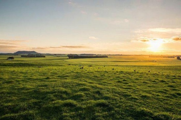 Afzet biologische AGF VS bereikt $22,7 miljard