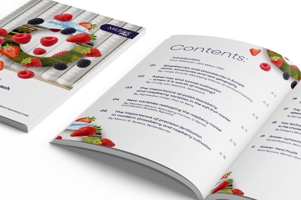 Soft Fruit Market Report 2026 verschenen