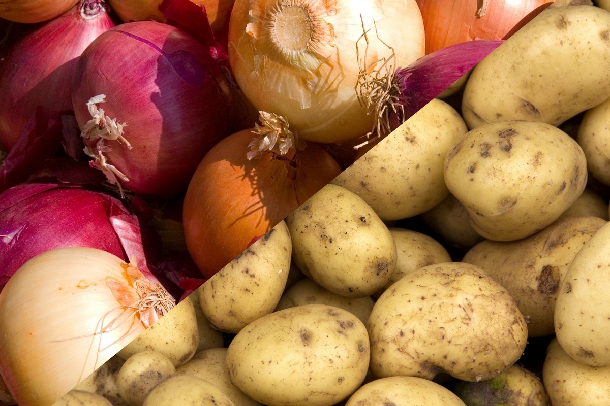 Австралия запускает программу по картофелю и луку для школ