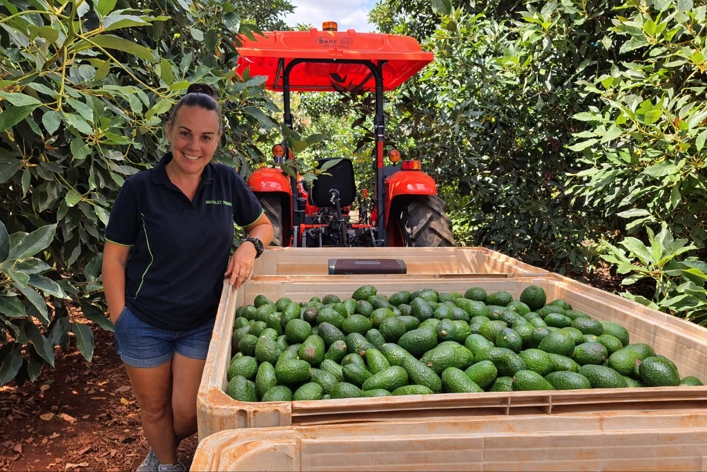 Влияние погоды на цены авокадо в Австралии и планы фермеров