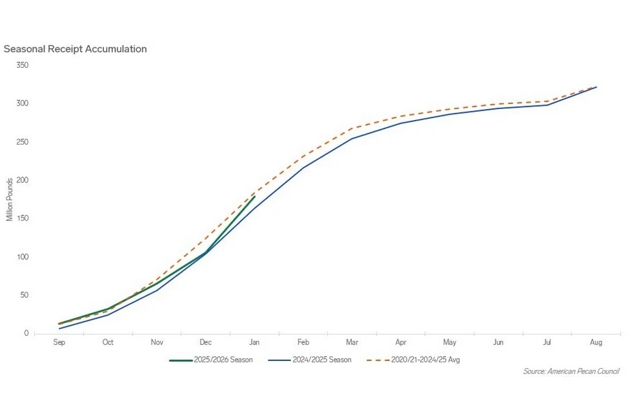 Сбор грецкого ореха в США вырос на 82%, а отгрузки упали