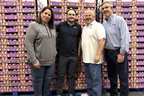 Вторая половина марта: рост поставок манго Атауфо