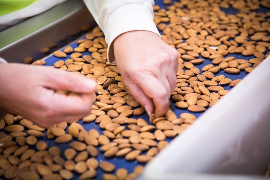 Алмазные орехи: снижение продаж в январе