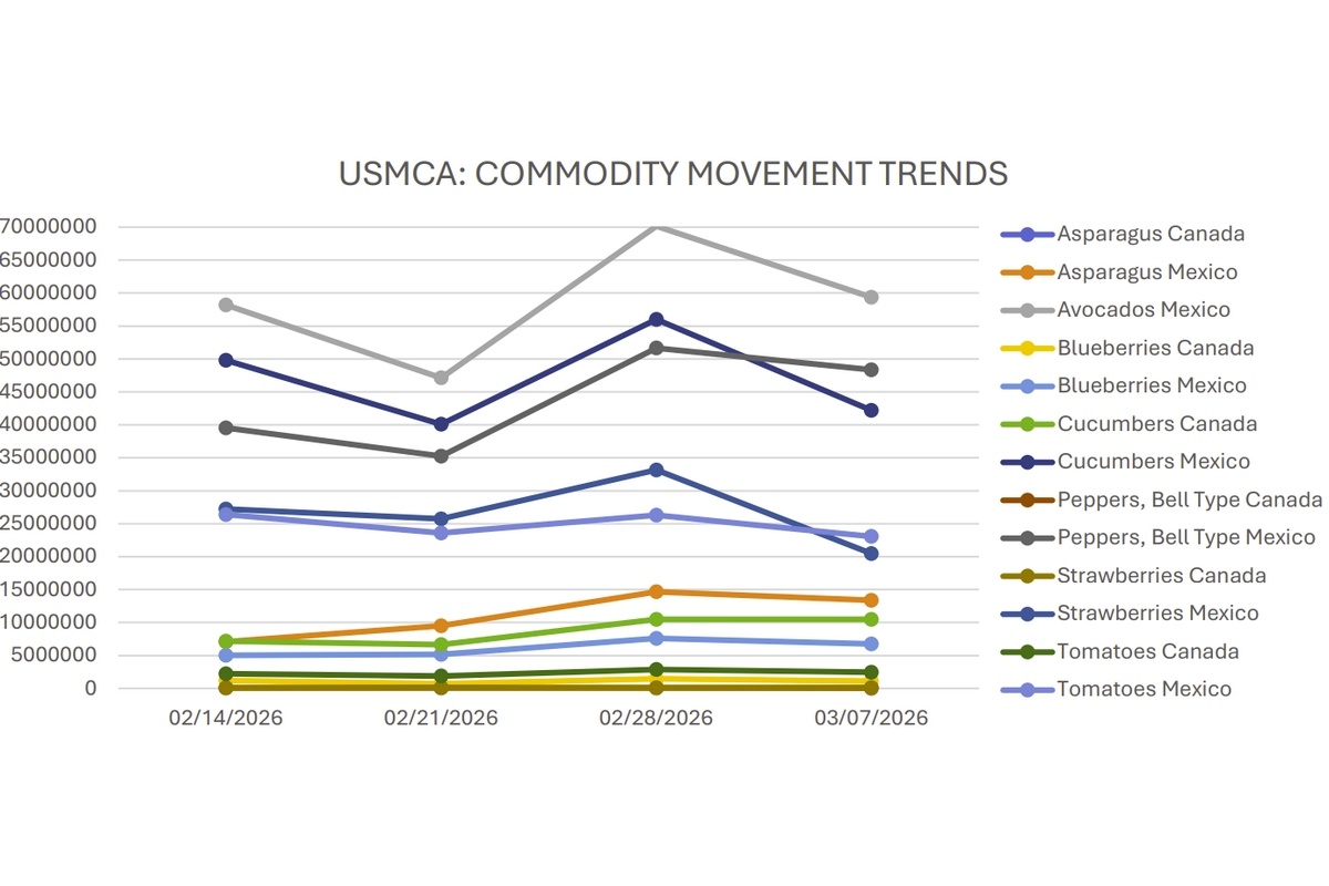 Цены на огурцы и сладкий перец растут, клубника и помидоры падают