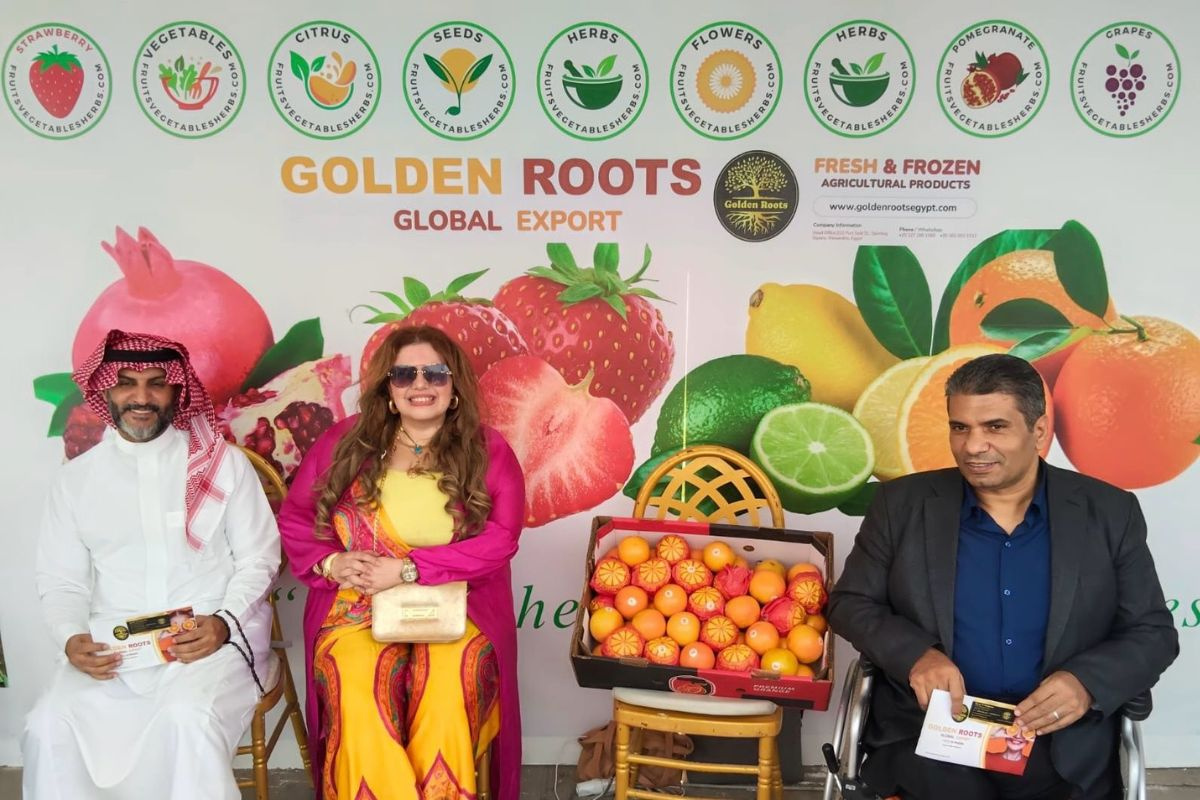 Oorlog, omwegen en containertekort en toch blijft Egyptische sinaasappelexport op peil