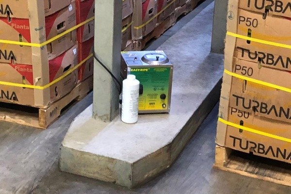 Samenwerking van twee generaties tilt kunst van het bananenrijpen naar een hoger niveau