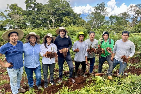Рост стоимости доставки может повлиять на стабильность цен на импортный имбирь