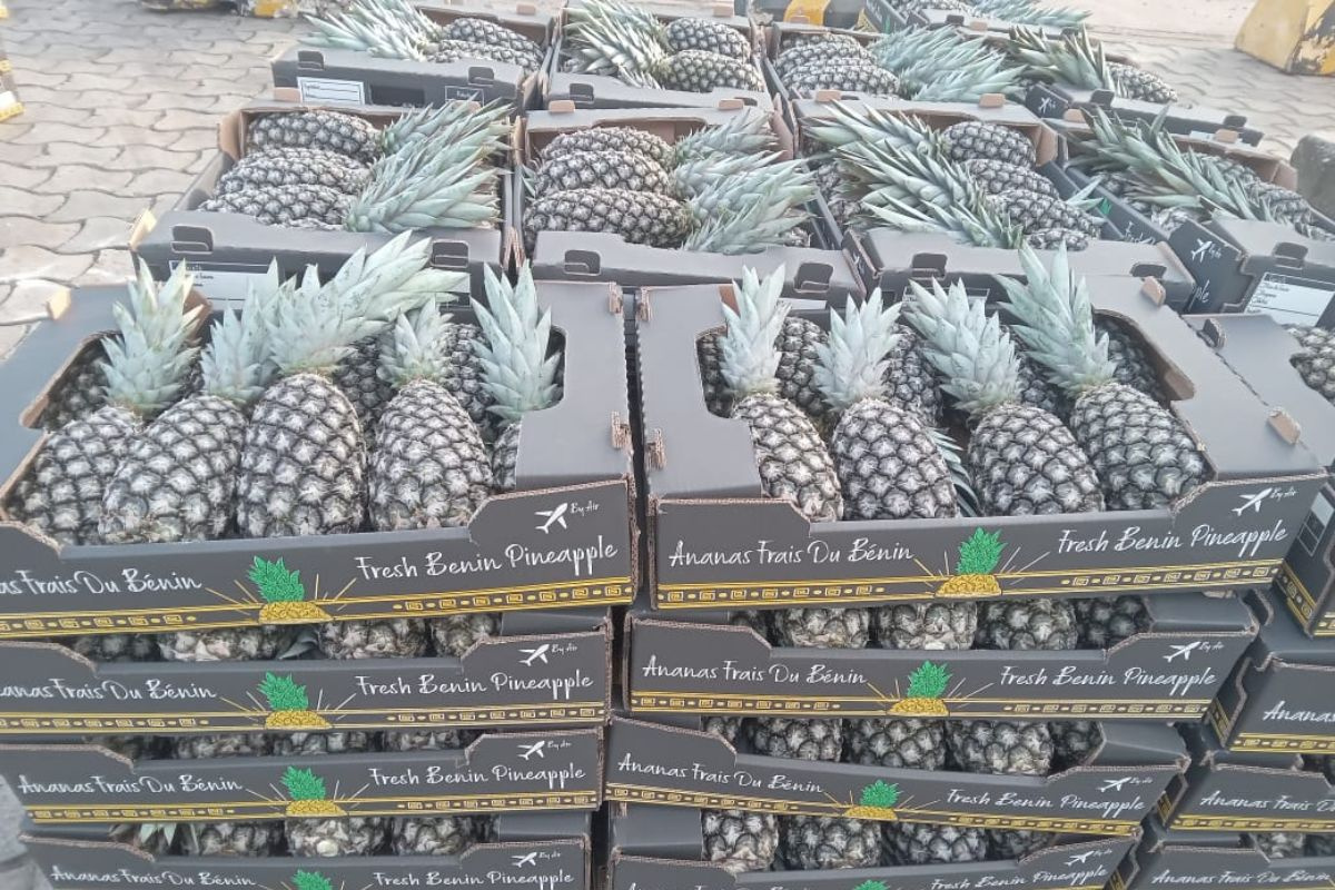Drukke periode van het jaar voor ananasexport Benin