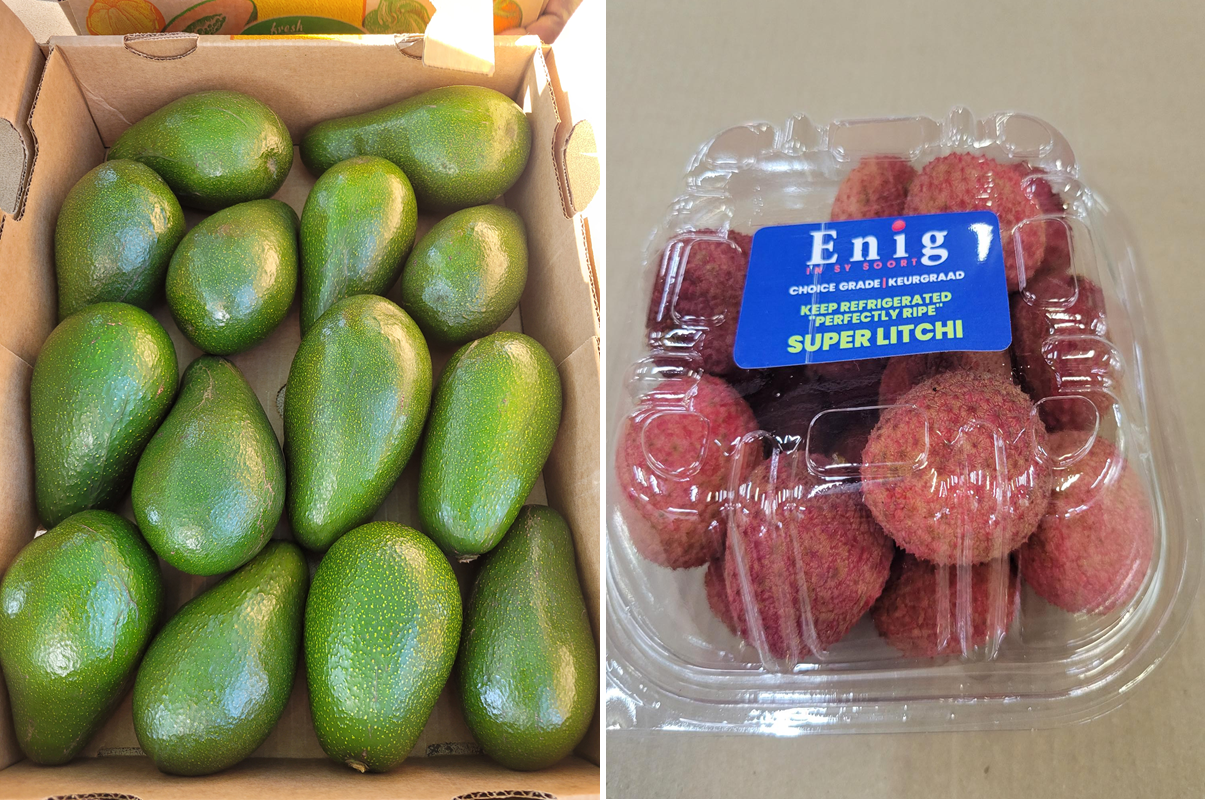 Грибы — главная проблема на фруктовой ферме