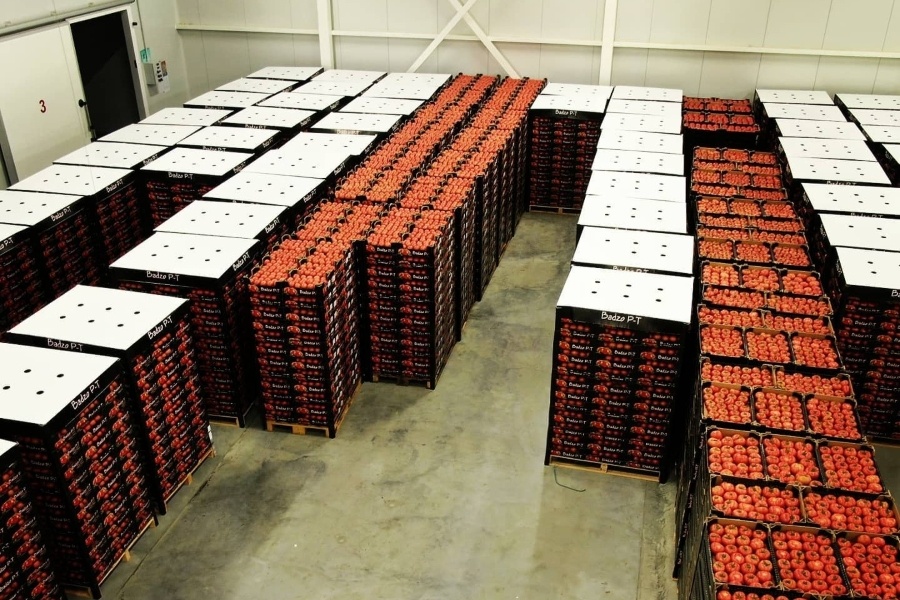 Grote vraag en prijzen voor schaars tomatenaanbod in Noord-Macedonië