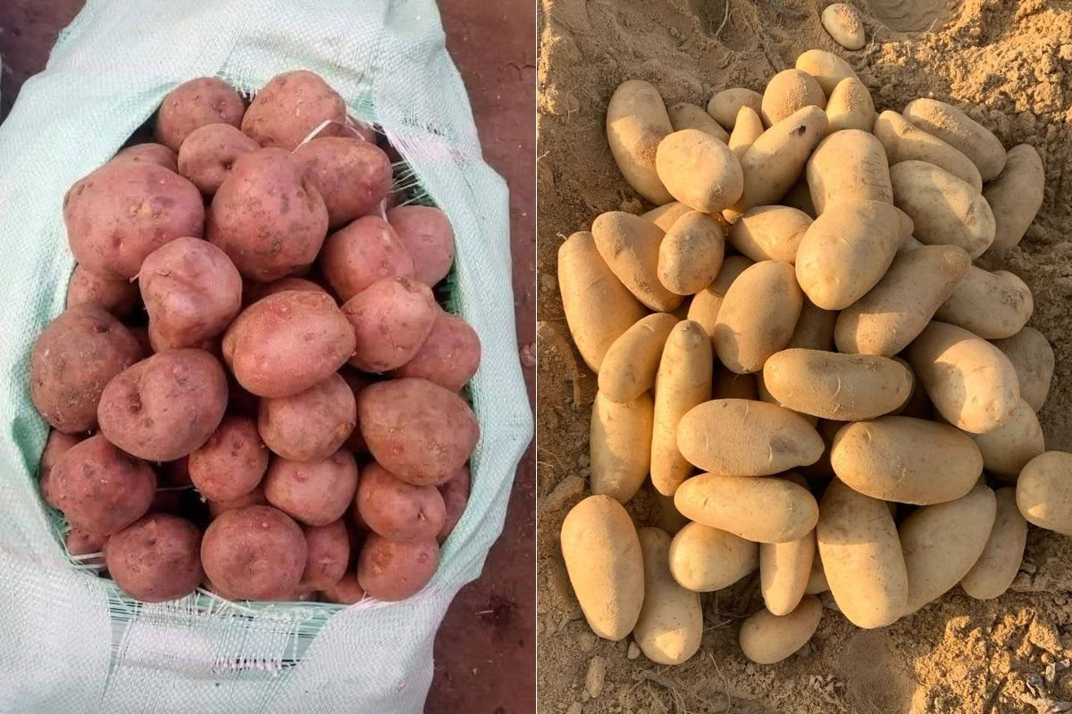 "We benaderen dit seizoen met een meer volwassen mindset"