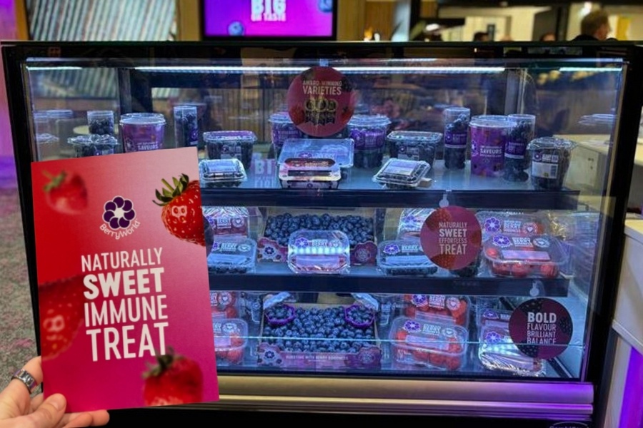 Польза ягод для здоровья и тренды потребления