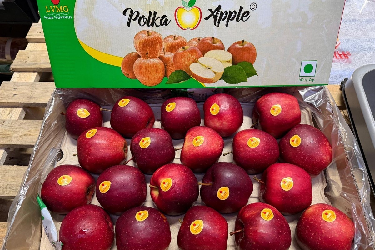 Покупатели осторожничают: заказы за неделю вперед