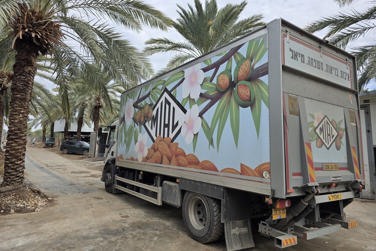 Урожай фиников растет на 20-25% ежегодно