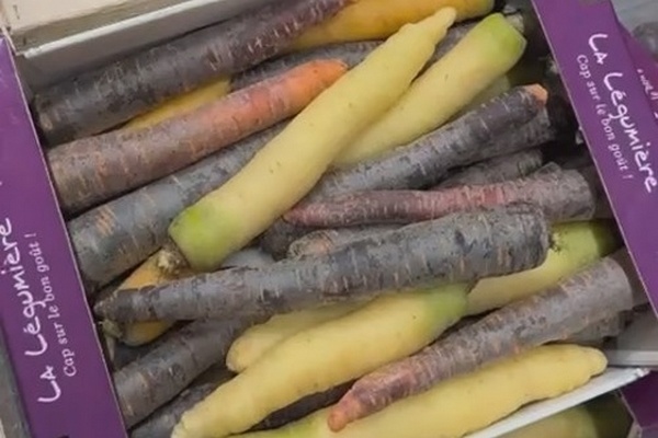 "Het is gewoon niet mogelijk om de extra logistieke kosten door te berekenen"