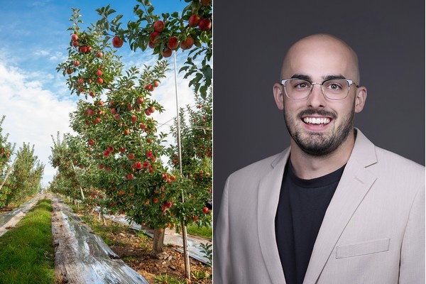 Спрос на яблоки остаётся стабильным несмотря на экономию