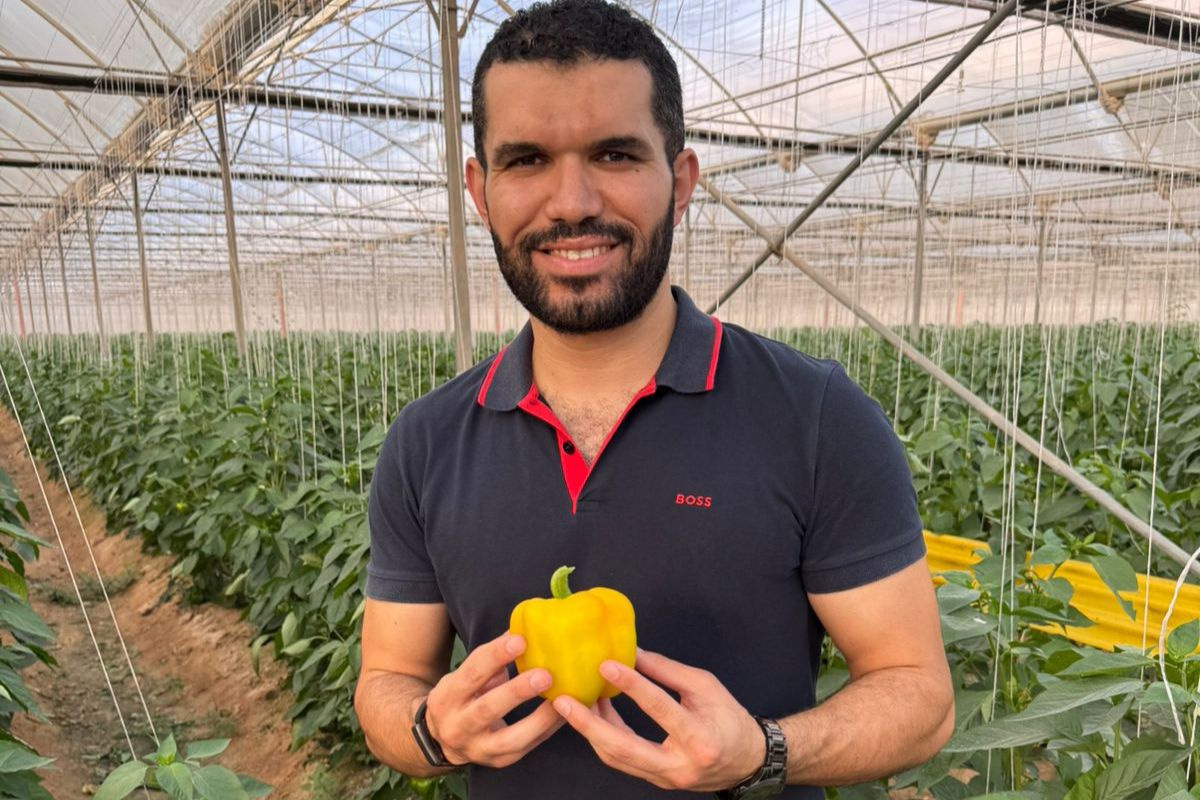 “We hebben onze paprika-export naar Europa verdrievoudigd”