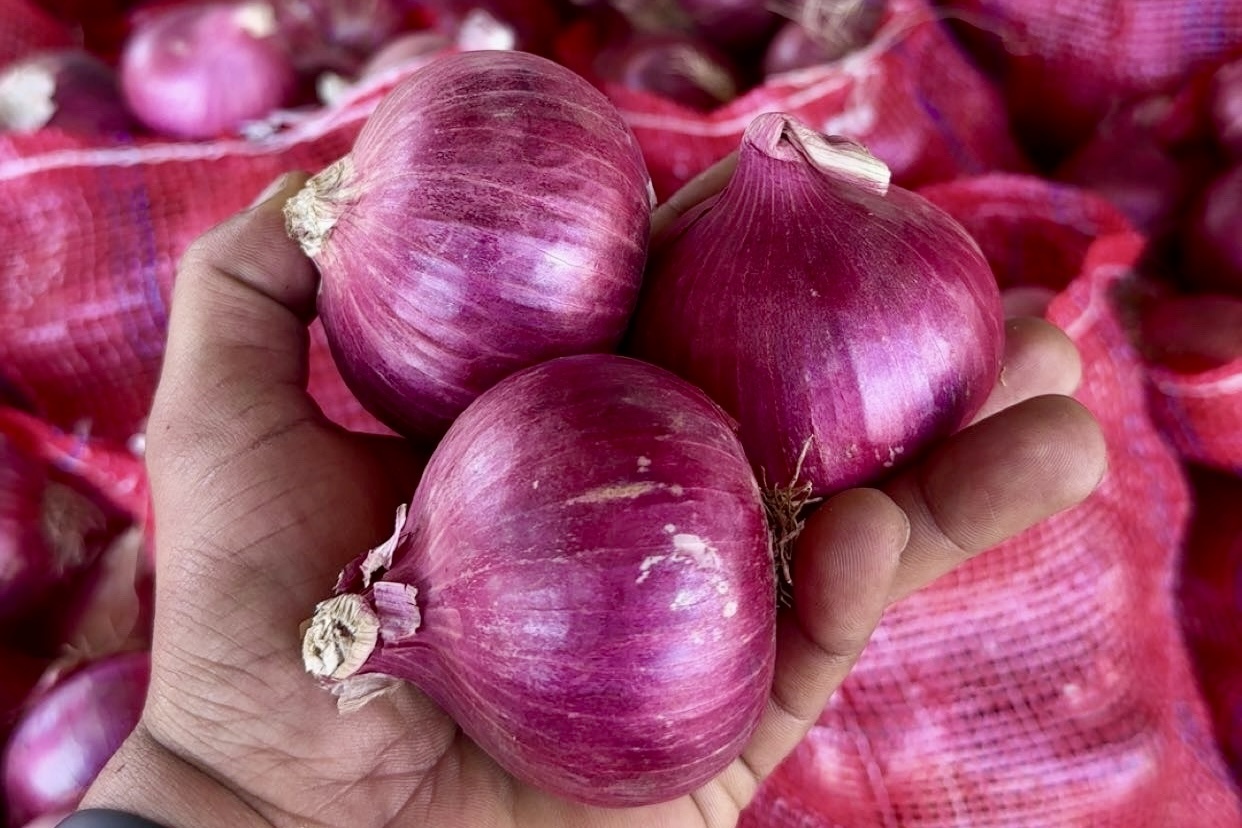 Лук из Йемена, Судана и Пакистана заменяет индийский в Персидском заливе
