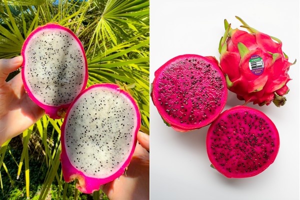 Питайя: трендовый вкус в напитках и десертах