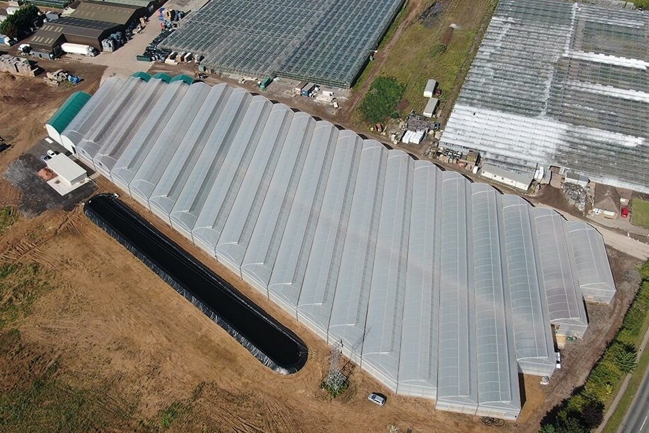 Как стимулировать инвестиции в производство свежих овощей