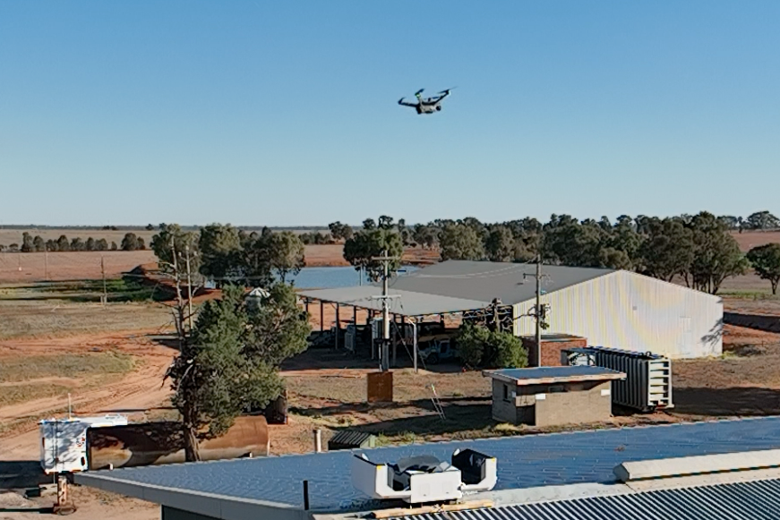 Точные рекомендации по уборке урожая шпината для максимальной прибыли