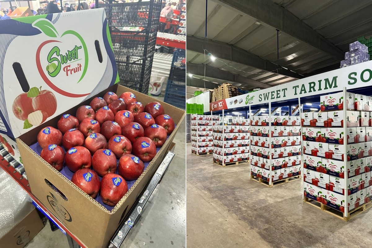 Турецкие яблоки: сложности экспорта и уроки для России