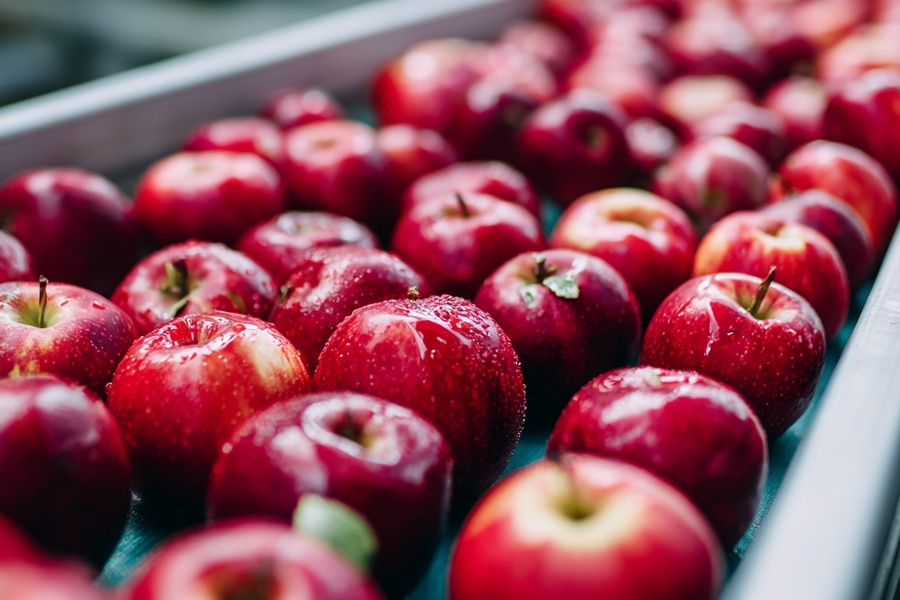 Экспорт яблок в Бразилию: растет доля ЕС, падает доля внутреннего производства