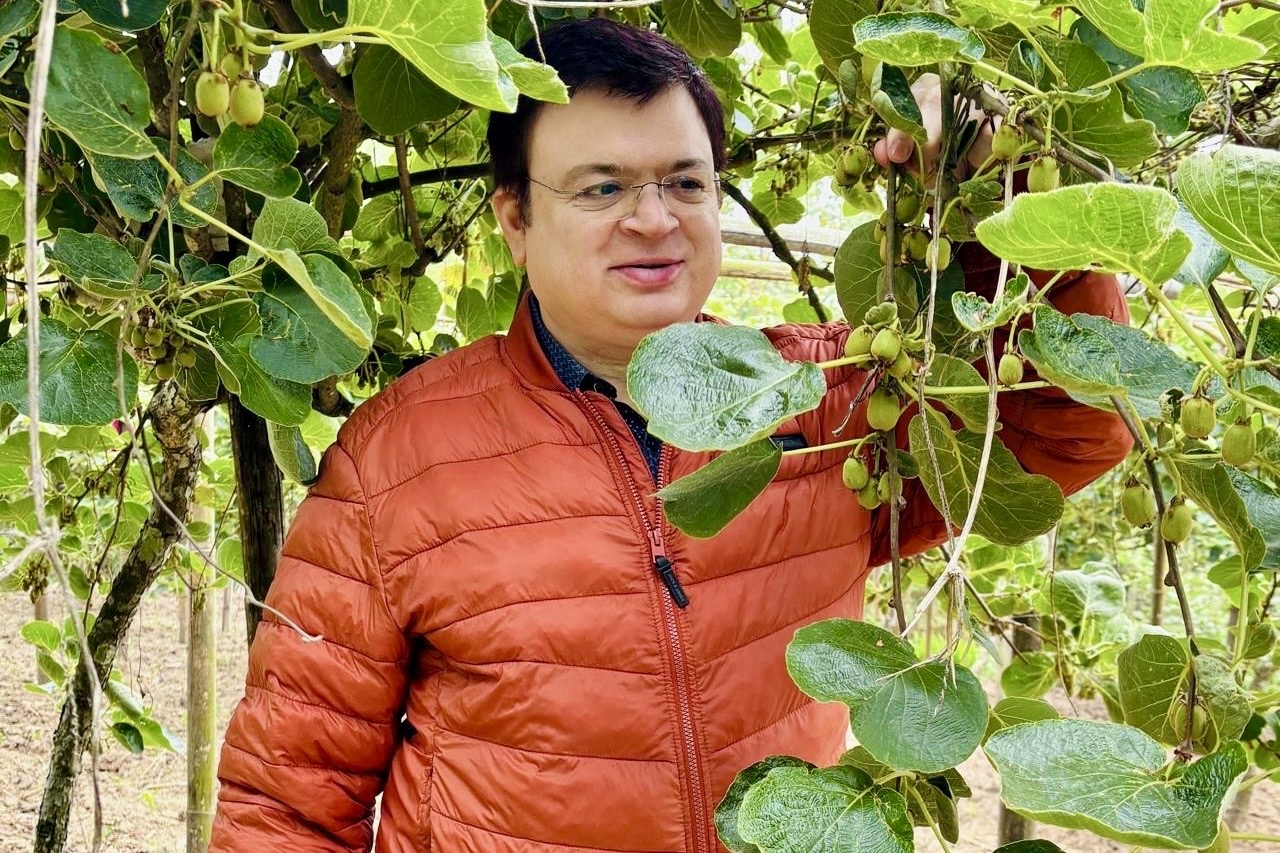 Киви как бизнес: перспективы выращивания в субальпийских регионах Индии