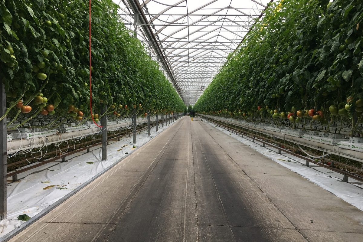 Person Rising From Chair Green Rise Foods acquired by Pereira Verde for $20.48 million