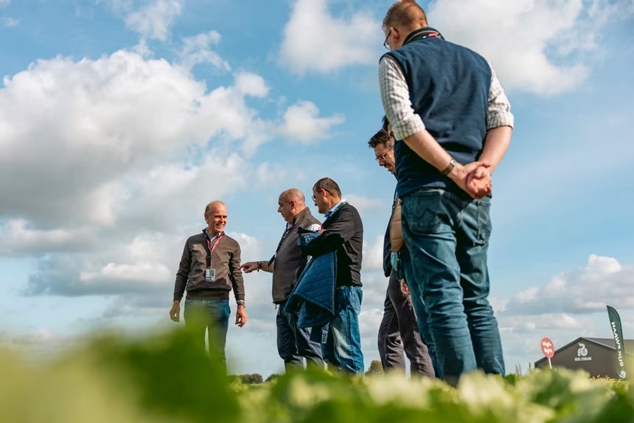 European lettuce summit addresses cultivation challenges and future solutions