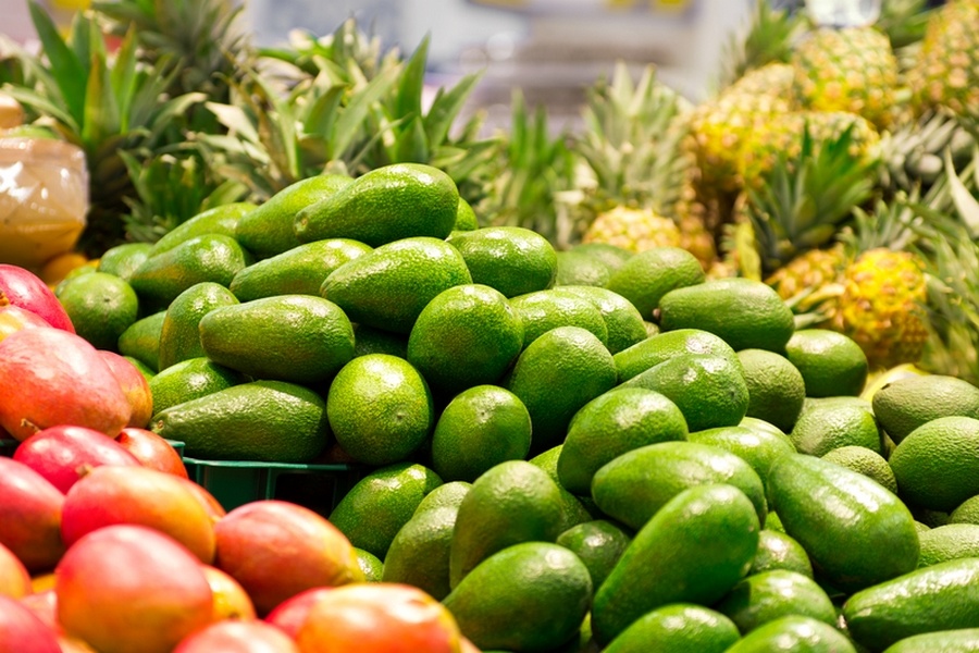 East African horticulture sector urged to invest in new crop varieties