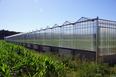 Growing With Screens And Windows Closed Thanks To Heat Exchangers