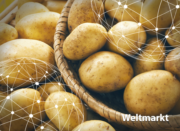 Ubersicht Weltmarkt Kartoffeln