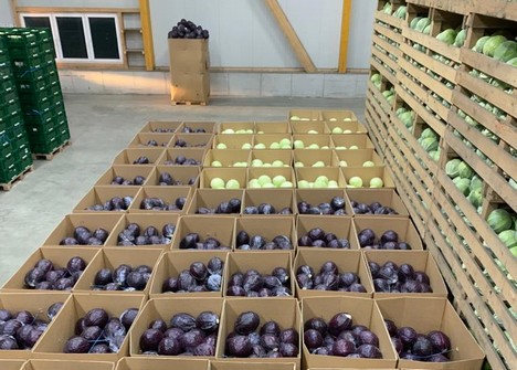 "Low prices, constant sales and a sluggish export market" - Vimarsana News