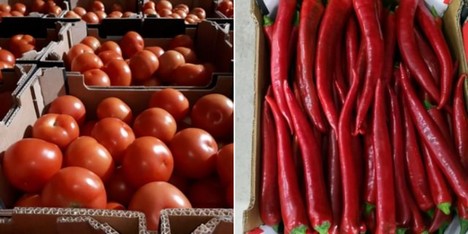 "Direct imports of Moroccan produce are well received by the German trade" - Vimarsana News