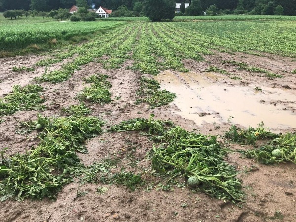 Schwere Unwetter Wuteten In Der Steiermark Und Im Burgenland