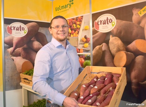 "Fast-growing and high-yielding sweet potato varieties are enriching regional agriculture" - Vimarsana News