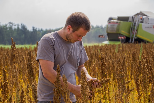 "Food retail trade is enthusiastic about quinoa from Bavaria" - Vimarsana News