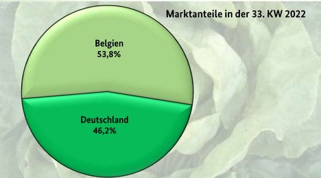 'Lettuce mainly came in from Germany and Belgium' - Vimarsana News