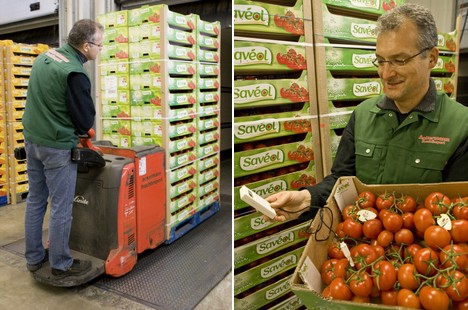 "Instead of pesticides, only beneficial insects are used, which is near our goal of sustainability" - Vimarsana News