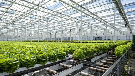"We are now heating our greenhouses fossil fuel free" - Vimarsana News