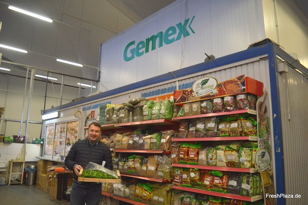 Compare prices for GEMEX across all European  stores