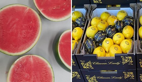 "Approaching end of season for Primofiori lemons, good demand for Senegalese watermelons" - Vimarsana News
