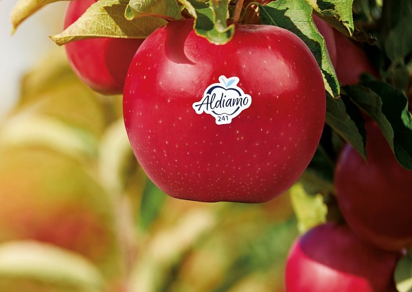 Aldi Süd launches exclusive "ALDIamo" apple variety - Vimarsana News