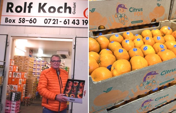 "Demand for Peruvian Nadorcotts has been surprisingly high lately" - Vimarsana News