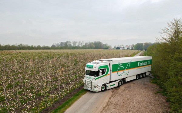 Prijsdruk in Duitsland weerspiegelt bredere EU-appelmarkt